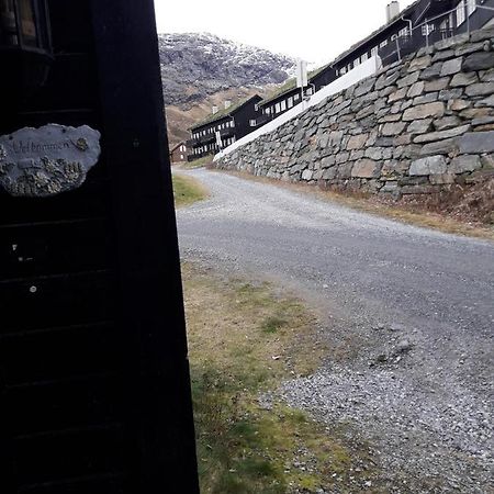 Apartement Røldal Alpingrend Eksteriør bilde