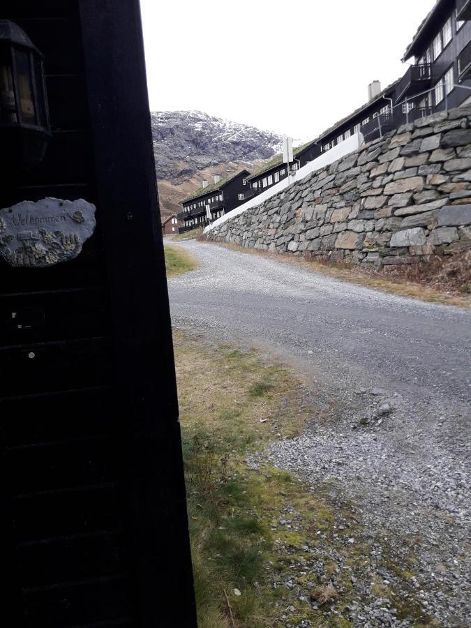 Apartement Røldal Alpingrend Eksteriør bilde